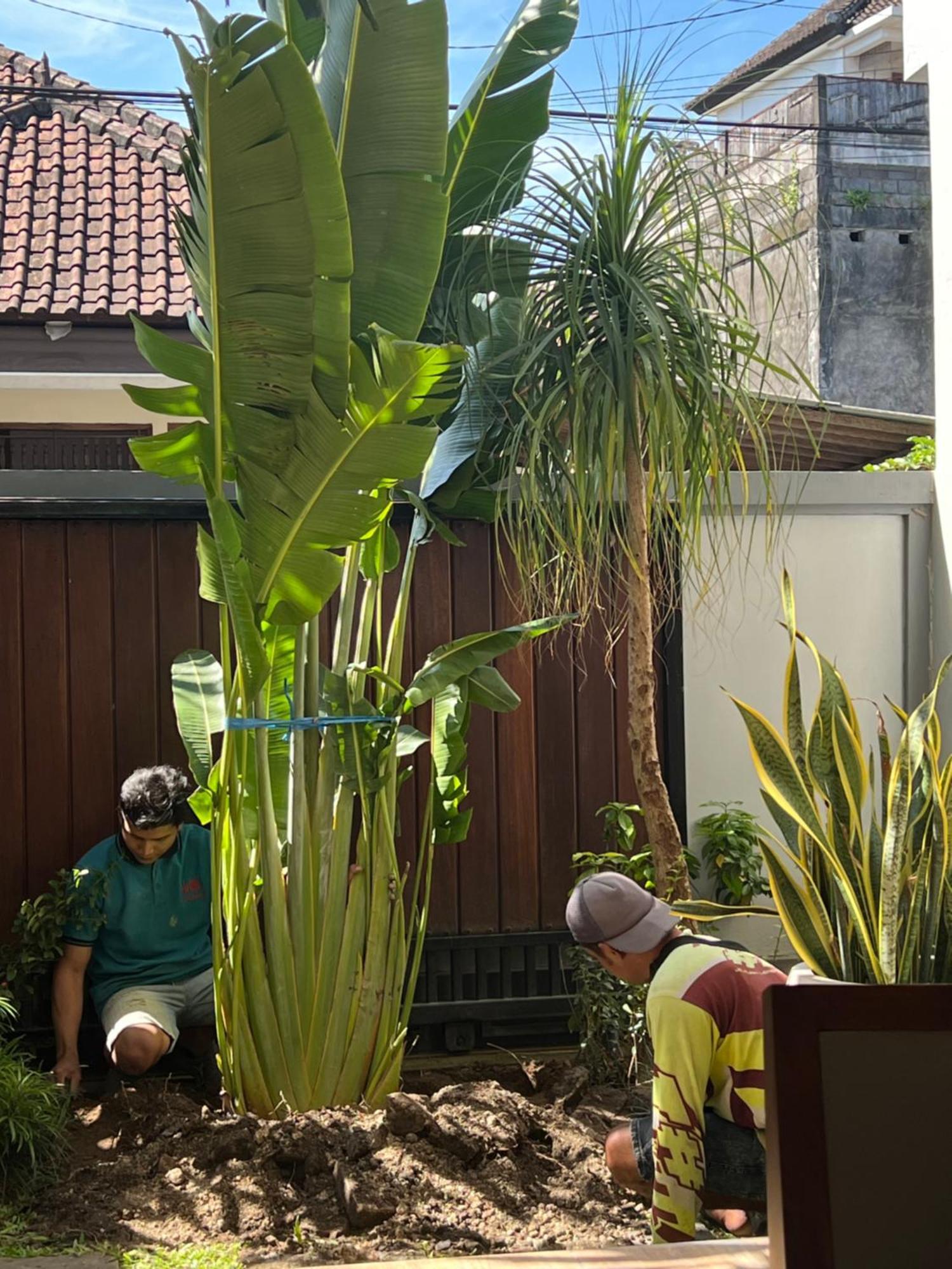 Villa Makmur Kerobokan Buitenkant foto
